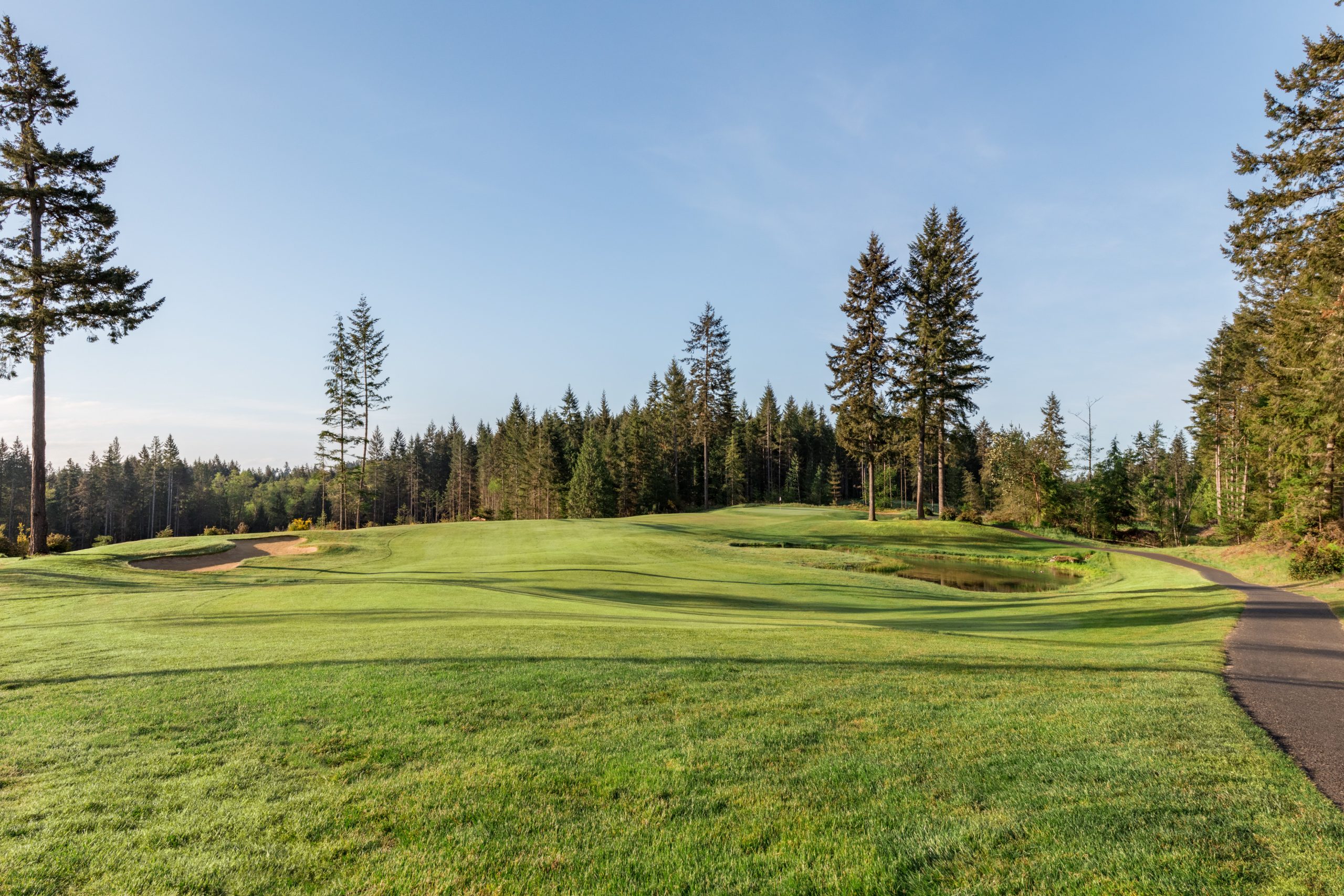 McCormick Woods