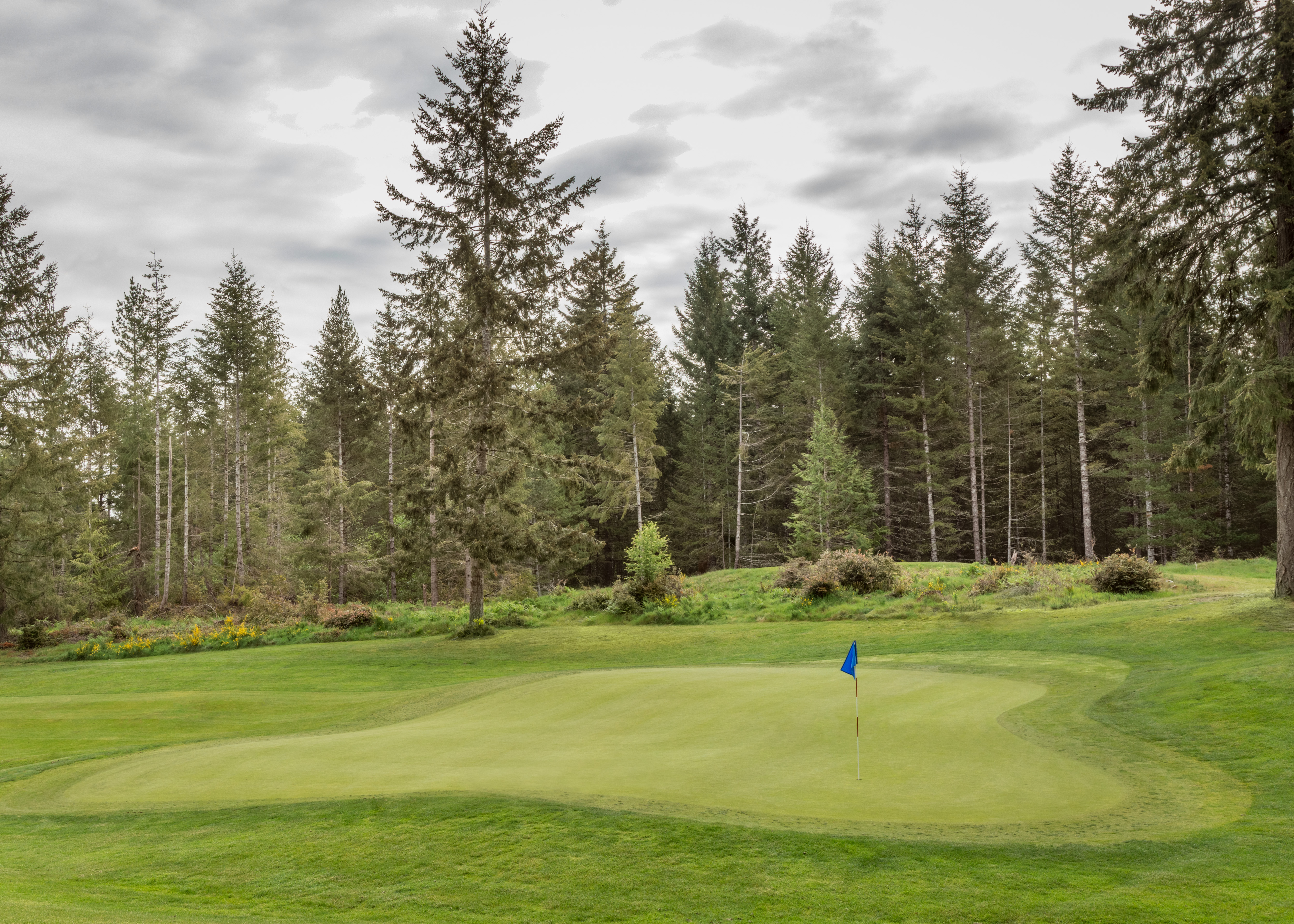 November Unlimited Golf Pass McCormick Woods Golf Club