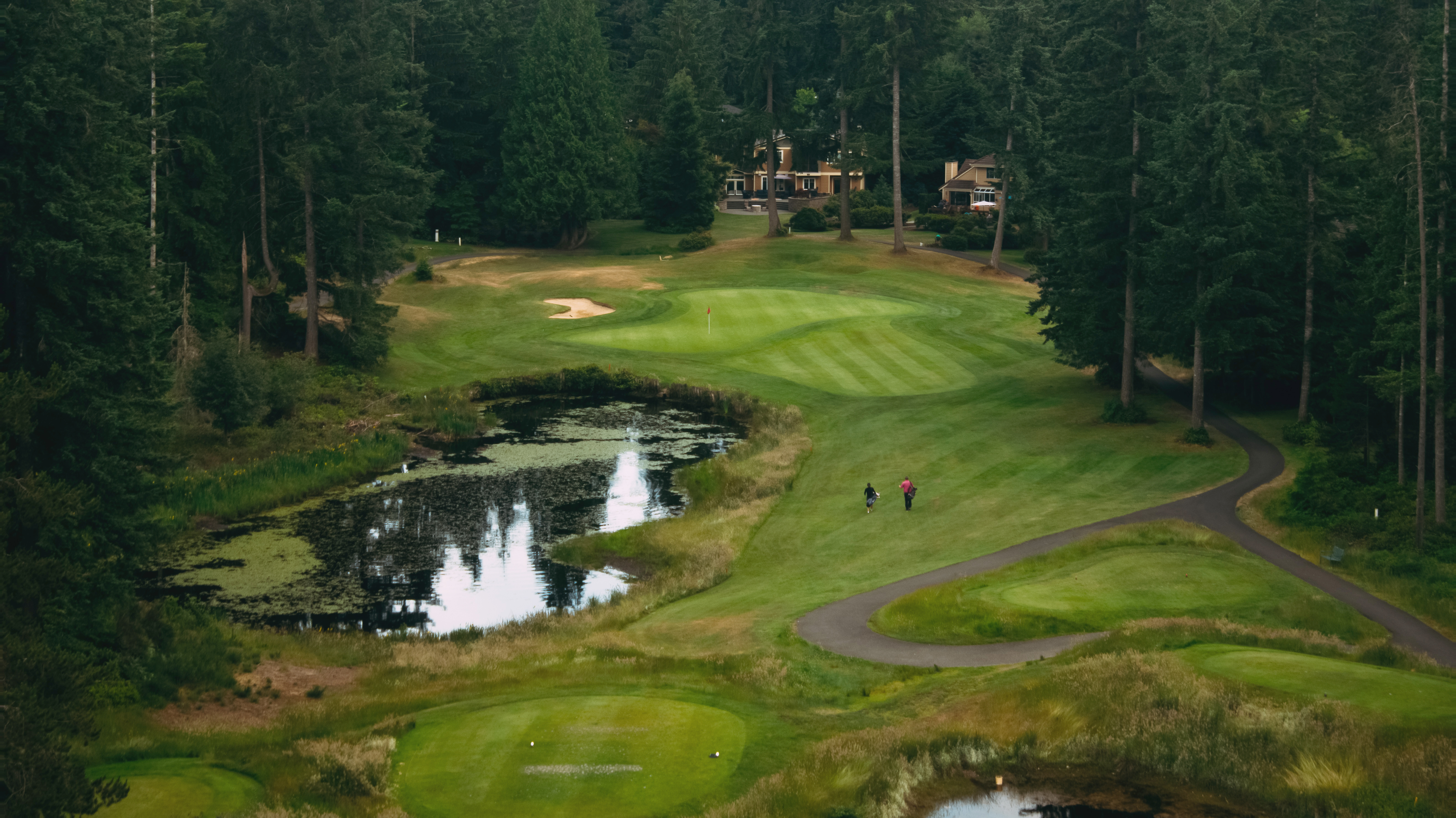 Golfers on Hole