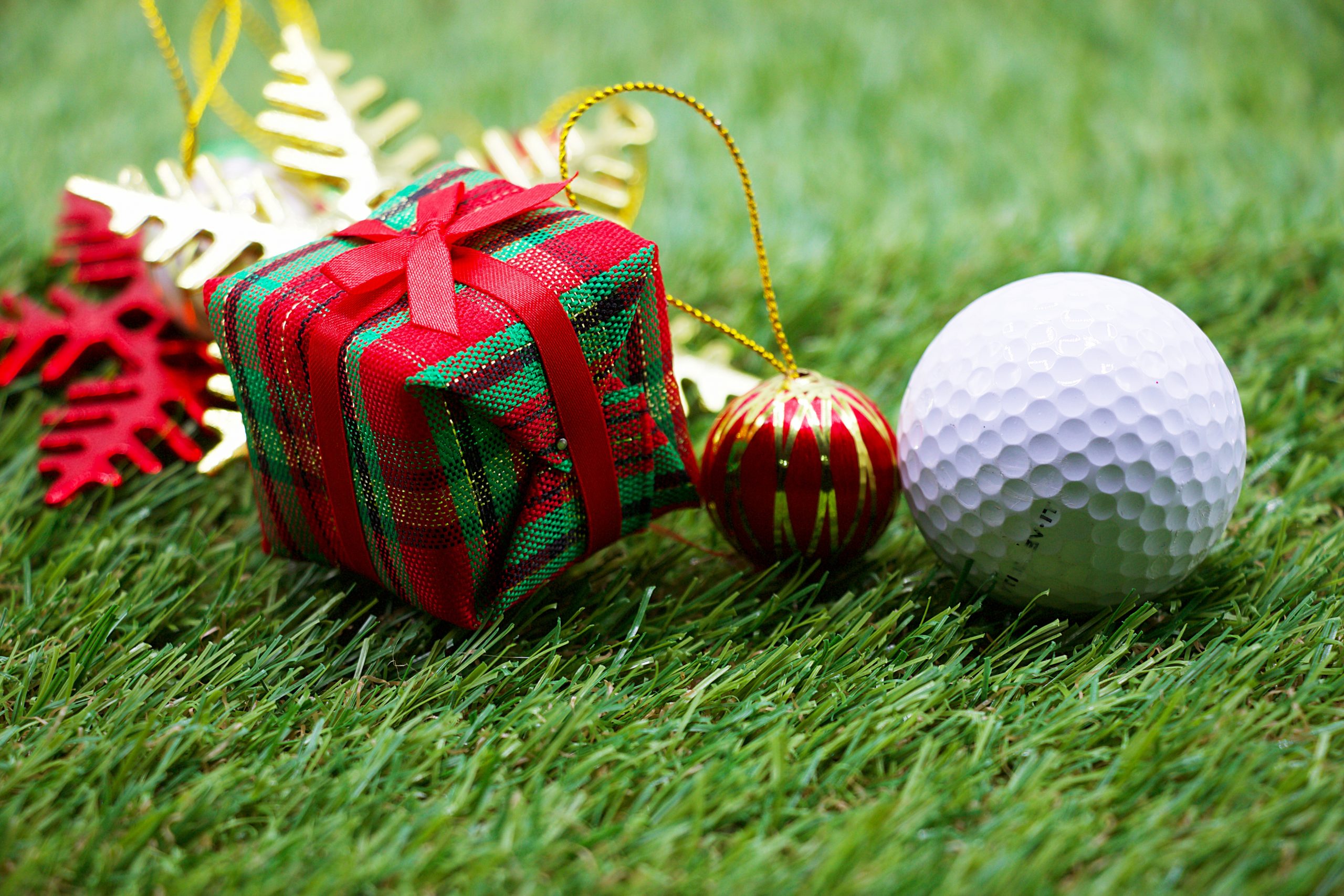 golf ball present for Christmas and New year McCormick Woods Golf Club